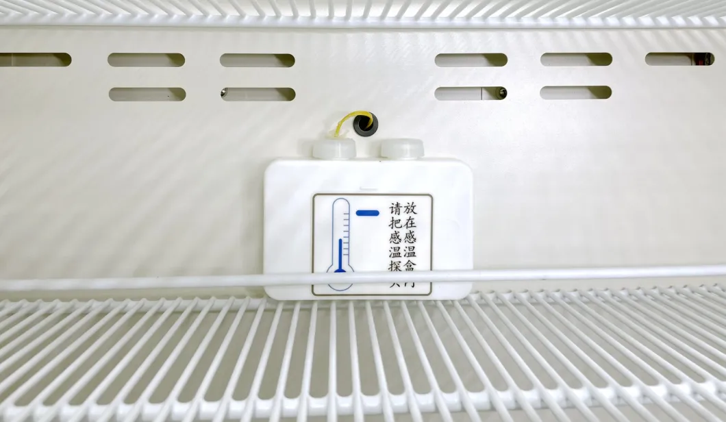 Μεγάλης περιεκτικότητας 416L κάθετο ψυγείο εμβολίων φαρμακείων στάσεων ιατρικό 2-8 βαθμοί