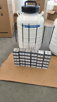 ποιότητας  Portable Liquid Nitrogen Dry Shipper – Safe Transport of Cells and Tissues εργοστάσιο