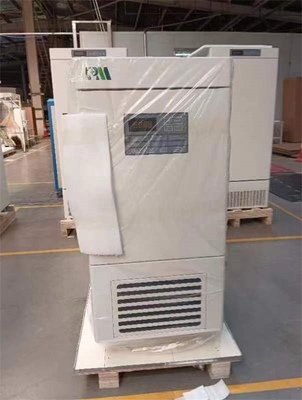 58L Μίνι φορητό κάτω από το ταμείο από ανοξείδωτο χάλυβα Υπερ χαμηλής θερμοκρασίας ψυγείο με CE
