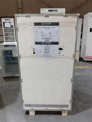 58L Μίνι φορητό κάτω από το ταμείο από ανοξείδωτο χάλυβα Υπερ χαμηλής θερμοκρασίας ψυγείο με CE