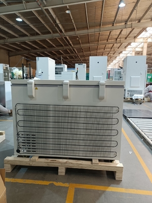 MDF-40H305 -40℃ Βιοϊατρικός Καταψύκτης Στήθους 305L Μεγάλης Χωρητικότητας Ιατρικός Βαθύς Καταψύκτης για Ιό, Αίμα & Αποθήκευση Εργαστηρίου